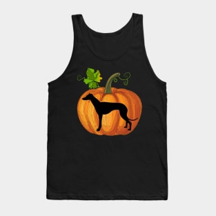 Greyhound in pumpkin Tank Top